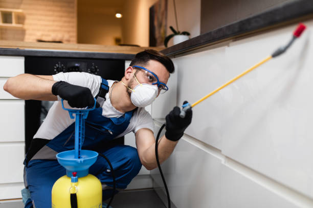 Best Pest Removal Services  in Westmorland, CA