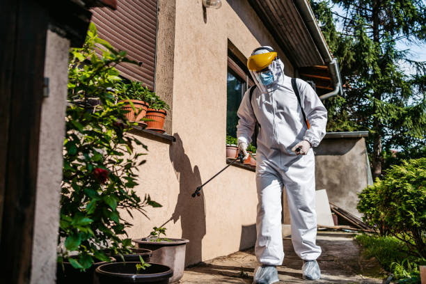 Best Affordable Pest Control Services  in Westmorland, CA
