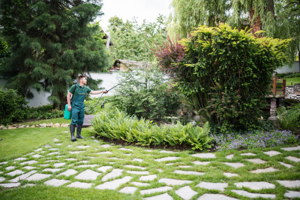 Best Best Pest Control Companies  in Westmorland, CA