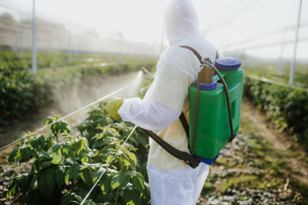 Best Best Pest Control Companies  in Westmorland, CA